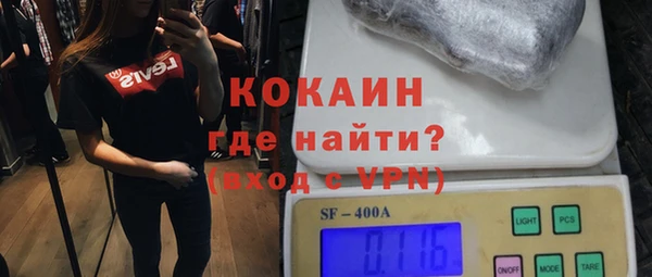 первитин Няндома