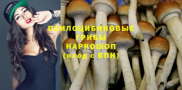 ECSTASY Нягань