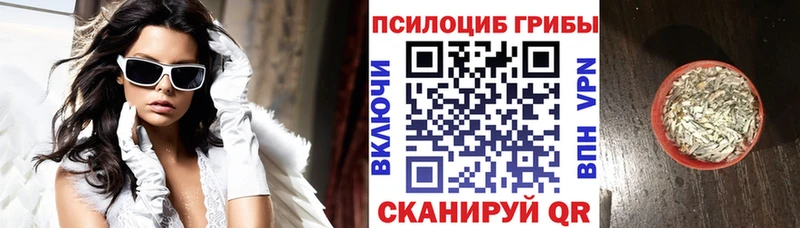 Галлюциногенные грибы MAGIC MUSHROOMS  сколько стоит  Красноперекопск 