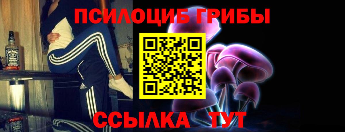 Красноперекопск  Псилоцибиновые грибы Psilocybe  Вход с VPN  Псилоцибиновые грибы Psilocybe 
